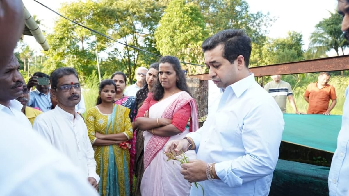 बेळणे खुर्दमध्ये करपलेल्या भातशेतीची पालकमंत्री नितेश राणे यांच्याकडून पाहणी