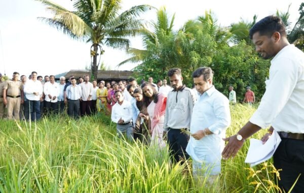 पाण्याचे सुयोग्य नियोजन करण्याची सवय आत्मसात करूया – पालकमंत्री नितेश राणे