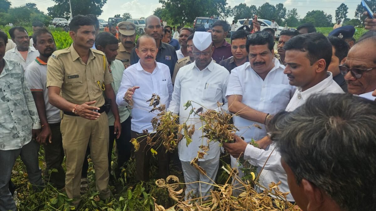 पीक नुकसानीची भरपाई मिळवून देण्यासाठी शासन स्तरावर प्रयत्न करणार – पालकमंत्री नरहरी झिरवाळ