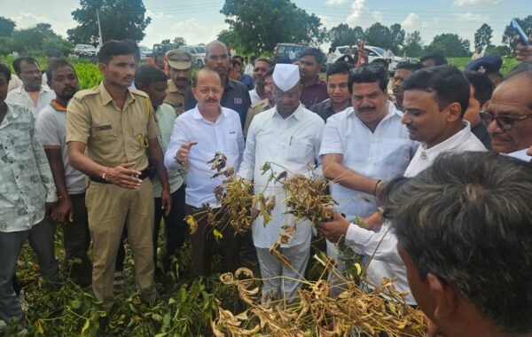 पीक नुकसानीची भरपाई मिळवून देण्यासाठी शासन स्तरावर प्रयत्न करणार – पालकमंत्री नरहरी झिरवाळ