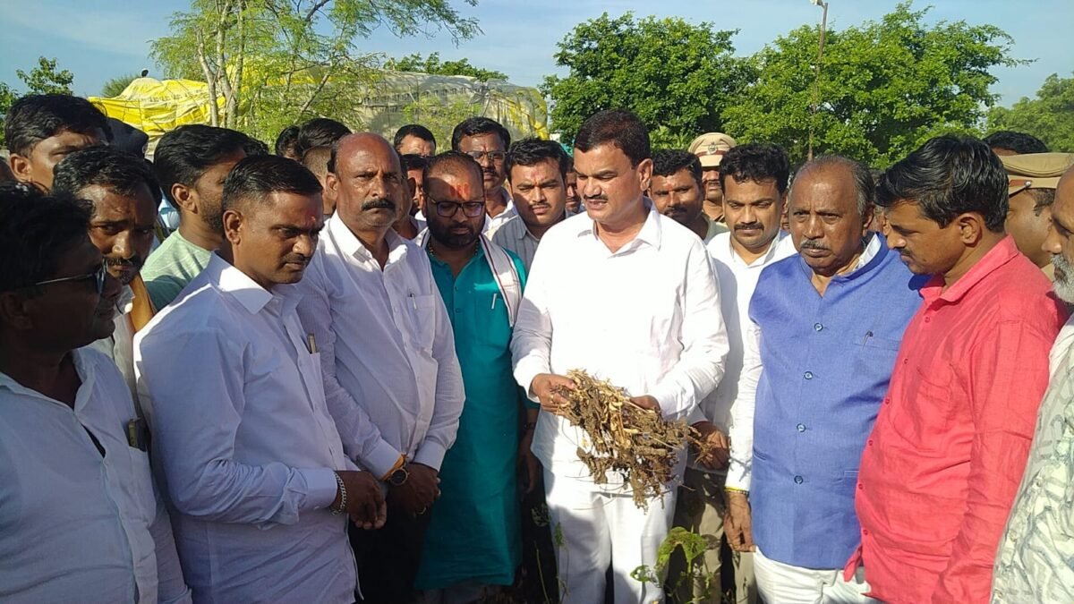 हिवरा जाटू येथील पीक परिस्थितीची मंत्री दत्तात्रय भरणे यांच्याकडून पाहणी
