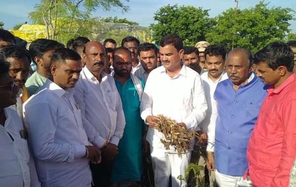 हिवरा जाटू येथील पीक परिस्थितीची मंत्री दत्तात्रय भरणे यांच्याकडून पाहणी