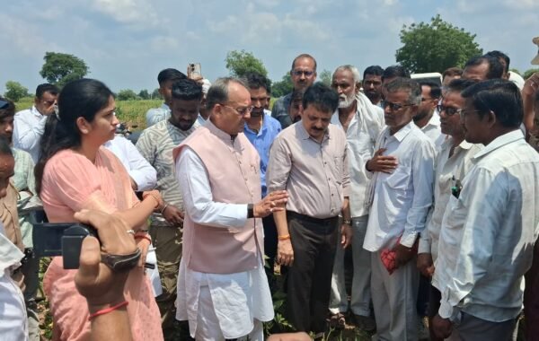 पिकाची परिस्थिती जाणून घेण्यासाठी राज्यमंत्री संजय सावकारे शेताच्या बांधावर