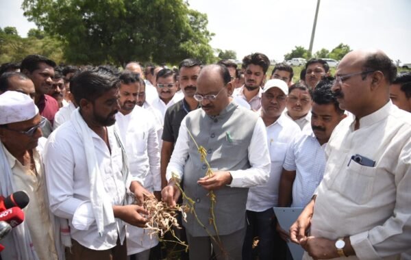 ग्रामीण भागात रोजगारनिर्मिती, जलसंधारणाची कामे व्यापक प्रमाणावर राबविणार – महसूल मंत्री चंद्रशेखर बावनकुळे